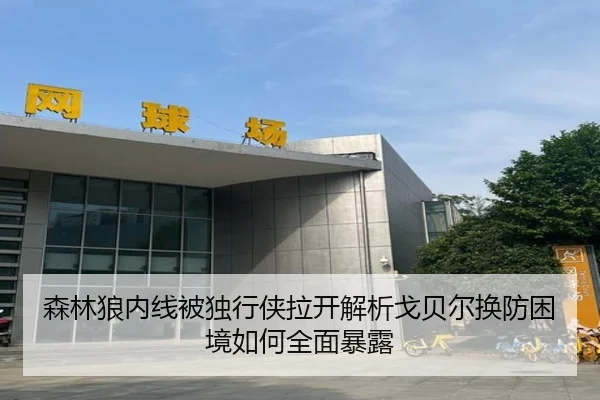 森林狼内线被独行侠拉开解析戈贝尔换防困境如何全面暴露 | KY tiyu