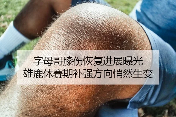 字母哥膝伤恢复进展曝光 雄鹿休赛期补强方向悄然生变 - KY tiyu